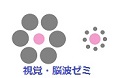 視覚・脳波ゼミ 視覚・脳波ゼミ